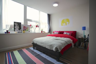Apex Heights Student Halls, 31 Upper George Street, City Centre, Luton, LU1 2RD - Image 1