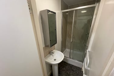 4 bed flat, St Albans Road, Brynmill, Swansea, SA20BP - Image 6