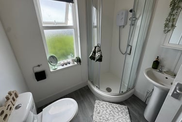 5 bed flat, Bryn Road, Brynmill, Swansea, SA20AR - Image 10