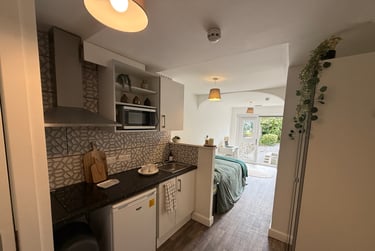 2 bed flat, Bryn Road, Brynmill, Swansea, SA20AR - Image 2
