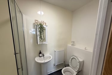 3 bed flat, Oxford Street, Brynmill, Swansea, SA13JW - Image 3