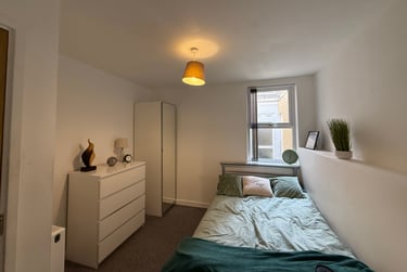 3 bed flat, Oxford Street, Brynmill, Swansea, SA13JW - Image 4
