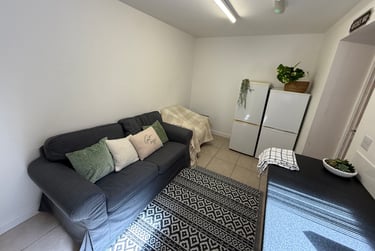 3 bed flat, Oxford Street, Brynmill, Swansea, SA13JW - Image 9