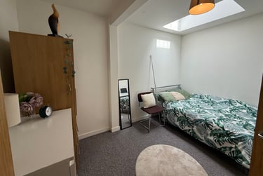 3 bed flat, Oxford Street, Brynmill, Swansea, SA13JW - Image 13