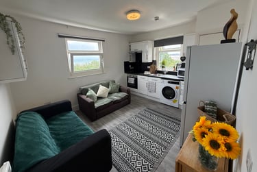 4 bed flat, St Albans Road, Brynmill, Swansea, SA20BP - Image 2
