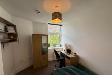 4 bed flat, St Albans Road, Brynmill, Swansea, SA20BP - Image 12