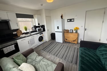 3 bed flat, St Alban's Road, Brynmill, Swansea, SA20BP - Image 3