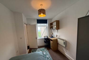 3 bed flat, St Alban's Road, Brynmill, Swansea, SA20BP - Image 9