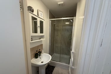 3 bed flat, St Alban's Road, Brynmill, Swansea, SA20BP - Image 11