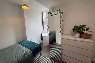 3 bed flat, Bryn Road, Brynmill, Swansea, SA20AP - Image 2