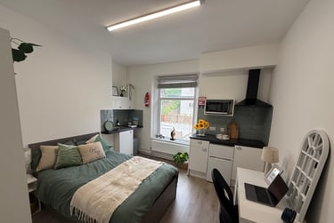 1 bed flat, Bryn Road, Brynmill, Swansea, SA20AP - Image 2