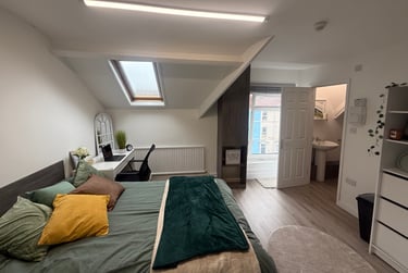 1 bed studio, Bryn Road, Brynmill, Swansea, SA20AR - Image 2