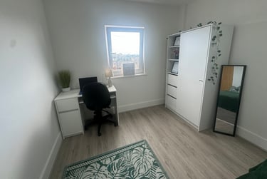 2 bed flat, St Helens Road, Mount Pleasant, Swansea, SA14DQ - Image 9