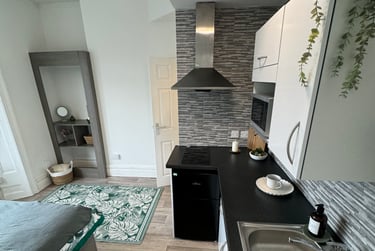 1 bed studio, Malvern Terrace, Brynmill, Swansea, SA20BE - Image 3