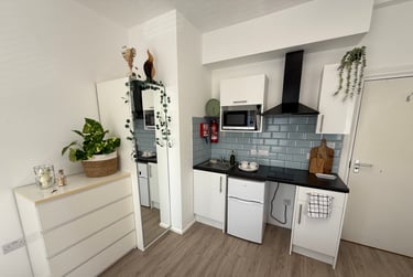 1 bed studio, Bryn Road, Brynmill, Swansea, SA20AR - Image 3