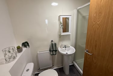 3 bed flat, Oxford Street, Brynmill, Swansea, SA13JW - Image 7