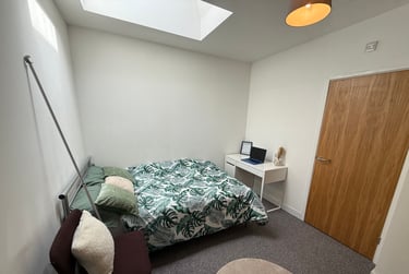 3 bed flat, Oxford Street, Brynmill, Swansea, SA13JW - Image 14