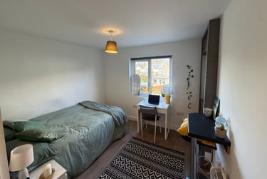 1 bed studio, St Albans Road, Brynmill, Swansea, SA20BP - Image 3