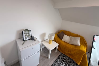 1 bed flat, St Albans Road, Brynmill, Swansea, SA20BP - Image 3