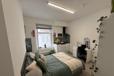 1 bed flat, Bryn Road, Brynmill, Swansea, SA20AP - Image 3