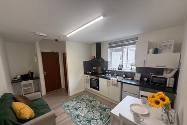 1 bed studio, Bryn Road, Brynmill, Swansea, SA20AR - Image 3