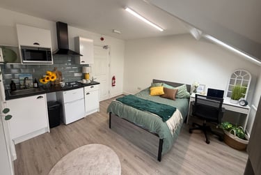 1 bed studio, Bryn Road, Brynmill, Swansea, SA20AR - Image 3