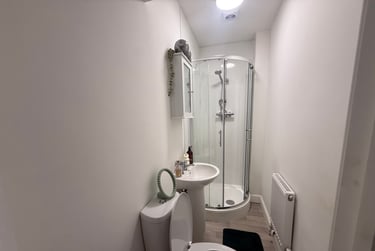 2 bed flat, St Albans Road, Brynmill, Swansea, SA20BP - Image 12