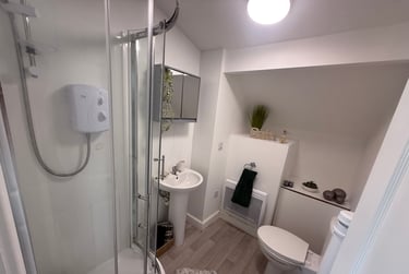 1 bed flat, St Albans Road, Brynmill, Swansea, SA20BP - Image 12