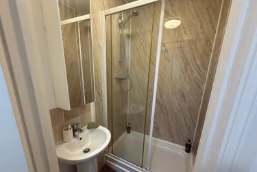 4 bed flat, St Albans Road, Brynmill, Swansea, SA20BP - Image 13