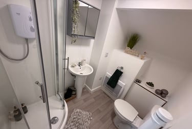 1 bed flat, St Albans Road, Brynmill, Swansea, SA20BP - Image 13
