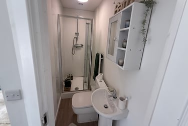 2 bed flat, St Albans Road, Brynmill, Swansea, SA20BP - Image 15
