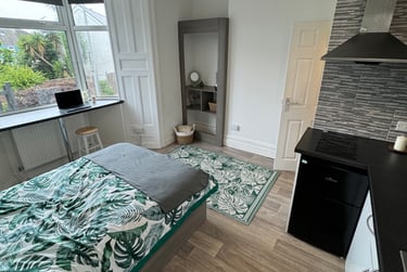 1 bed studio, Malvern Terrace, Brynmill, Swansea, SA20BE - Image 4