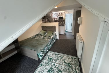 1 bed studio, Malvern Terrace, Brynmill, Swansea, SA20BE - Image 4