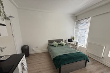 1 bed studio, Bryn Road, Brynmill, Swansea, SA20AR - Image 4