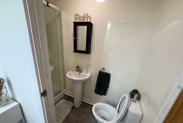 3 bed flat, Oxford Street, Brynmill, Swansea, SA13JW - Image 15