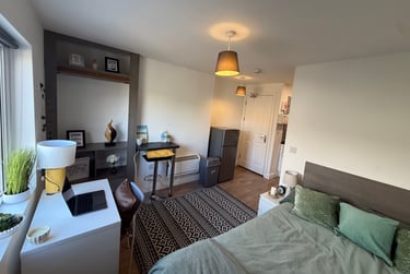 1 bed studio, St Albans Road, Brynmill, Swansea, SA20BP - Image 4