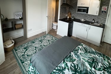 1 bed studio, Malvern Terrace, Brynmill, Swansea, SA20BE - Image 5