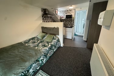1 bed studio, Malvern Terrace, Brynmill, Swansea, SA20BE - Image 5