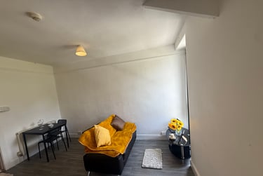 2 bed flat, Bryn Road, Brynmill, Swansea, SA20AP - Image 5