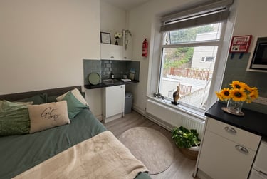 1 bed flat, Bryn Road, Brynmill, Swansea, SA20AP - Image 5