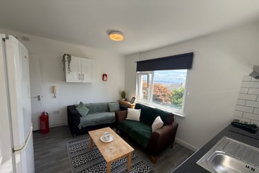 4 bed flat, St Albans Road, Brynmill, Swansea, SA20BP - Image 4