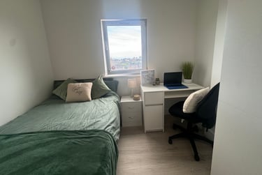1 bed studio, St Helens Road, Mount Pleasant, Swansea, SA14DQ - Image 3