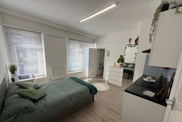 1 bed studio, Bryn Road, Brynmill, Swansea, SA20AR - Image 6