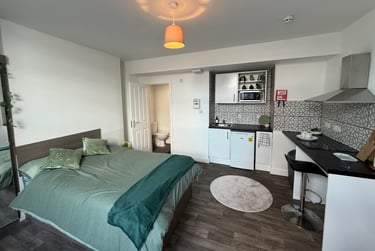 1 bed studio, Bryn Road, Brynmill, Swansea, SA20AR - Image 7