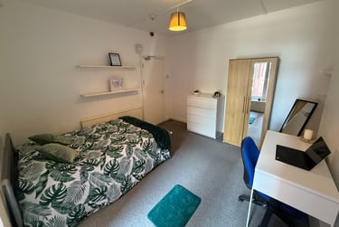 3 bed flat, Bryn Road, Brynmill, Swansea, SA20AR - Image 14