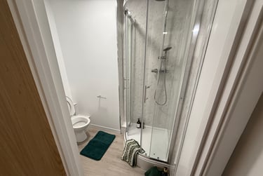 2 bed flat, St Helens Road, Mount Pleasant, Swansea, SA14DQ - Image 5