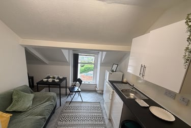 2 bed flat, Finsbury Terrace, Brynmill, Swansea, SA20AH - Image 4