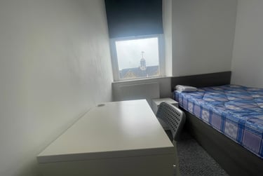 2 bed flat, St Albans Road, Brynmill, Swansea, SA20BP - Image 8