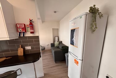 3 bed flat, Bryn Road, Brynmill, Swansea, SA20AR - Image 4