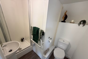 1 bed flat, Finsbury Terrace, Brynmill, Swansea, SA20AH - Image 8